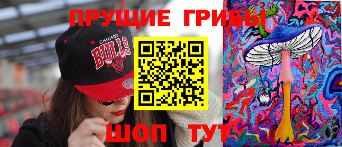 Галлюциногенные грибы GOLDEN TEACHER Камышлов