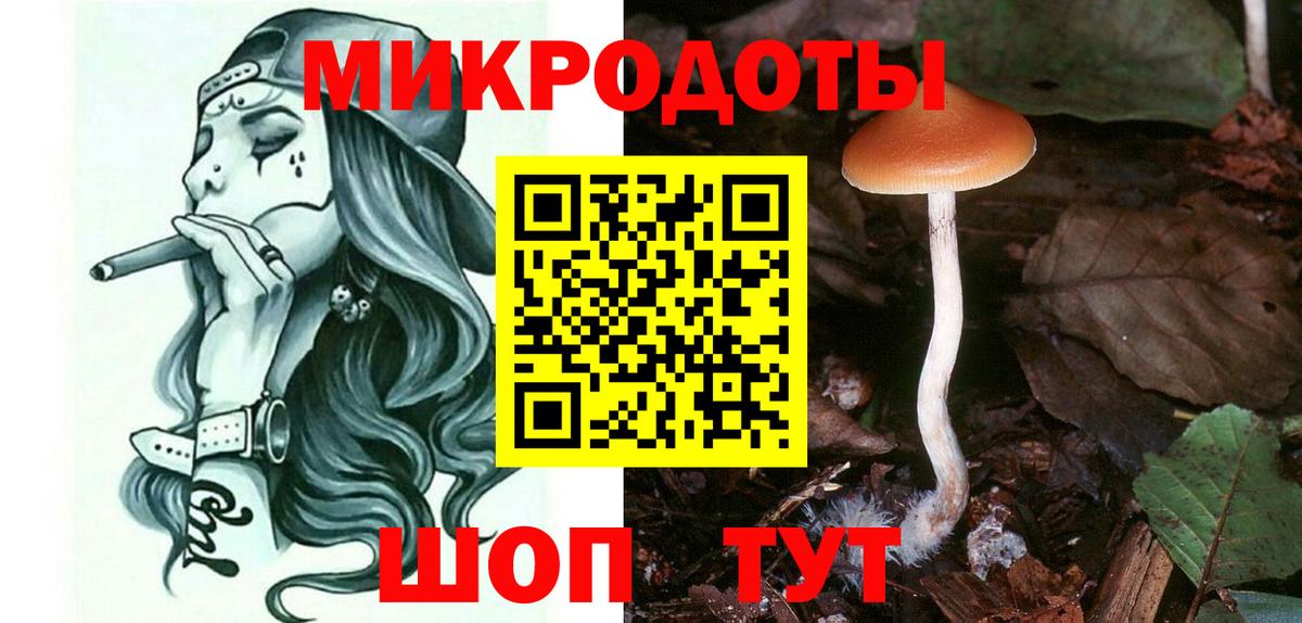 Псилоцибиновые грибы Magic Shrooms  Вход с VPN  как найти наркотики  Камышлов 